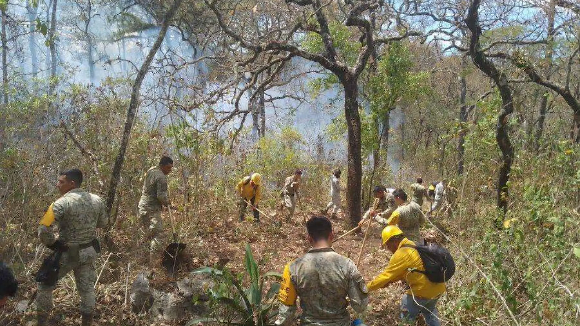 incendios forestales